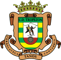 Escudo equipo CD Tropezón