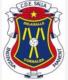 Escudo CD SALLA INDIVISA MANENT C